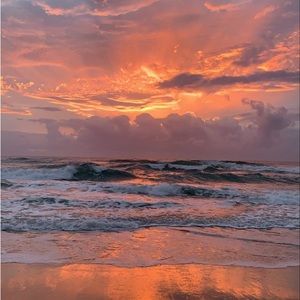 Meet your Posher, Emelia